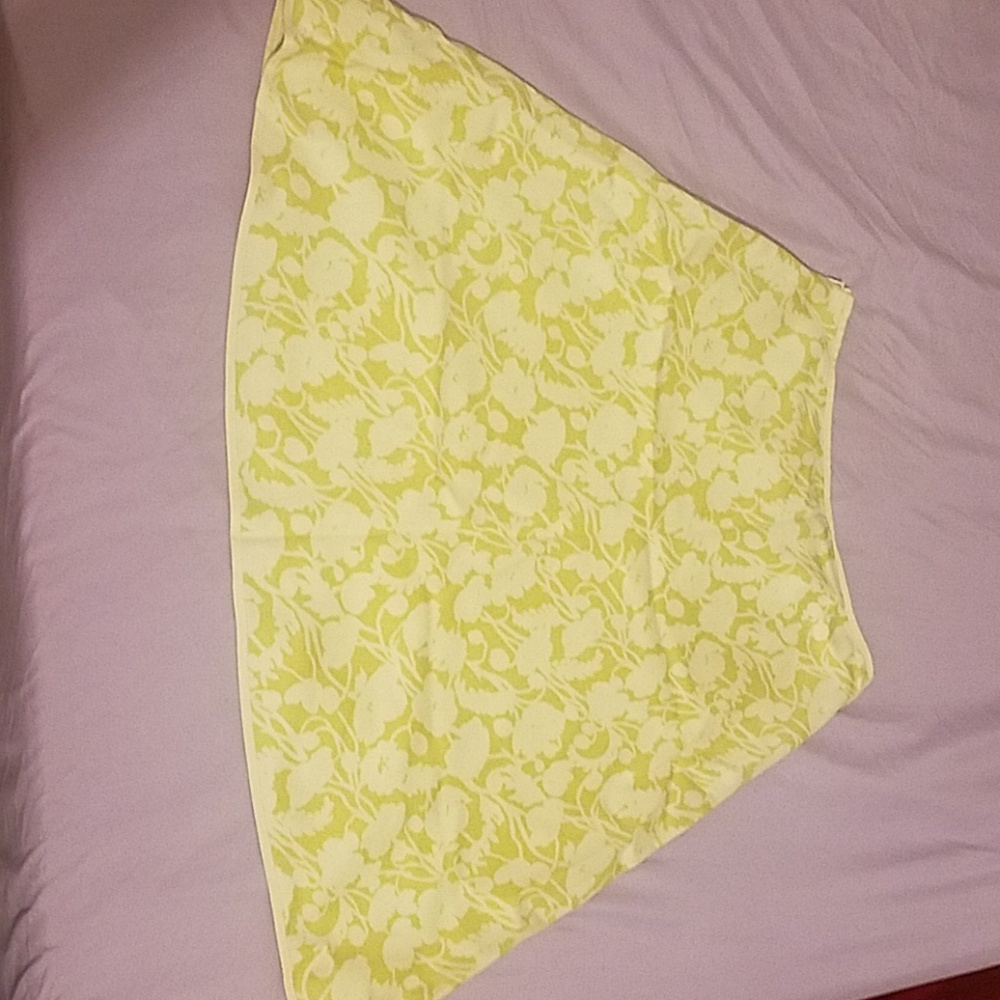 ANN Taylor Skirt
